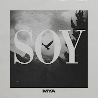 Soy
