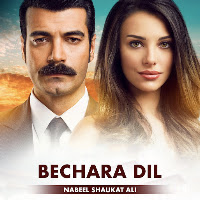 Nabeel Shauqat Ali