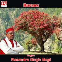Tyaara Roop Ki Jhaul Ma