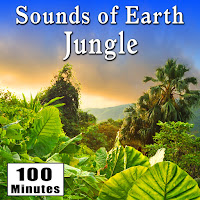 Active Daytime Jungle Sounds Including Birds, Insects And Animals (Jungle Ambience Sound Effects)