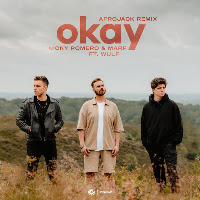 Okay (Extended Afrojack Remix) (Feat. Wulf)