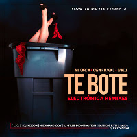 Te Boté (Moombahton Remix) (Feat. Dj Willie)
