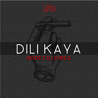 Dili Kaya