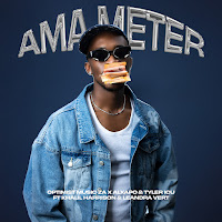 Ama Meter (Feat. Khalil Harrison & Leandra.vert)