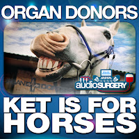 Ket Is For Horses (Darren Styles Remix)