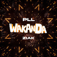 P.l.l