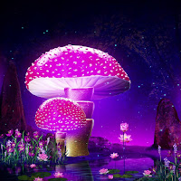 Personal Power Sleep Serenity