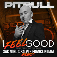 I Feel Good (Sak Noel X Salvi X Franklin Dam Remix) (Feat. Anthony Watts & Djws)