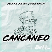 Plata Flow