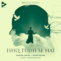 Ishq Tujhi Se Hai