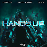 Prezioso, Harris & Ford, Shibui