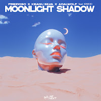 Moonlight Shadow (Feat. Ninkid)