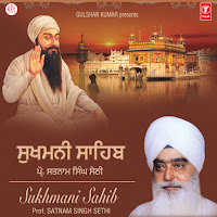 Prof. Satnaam Singh Sethi