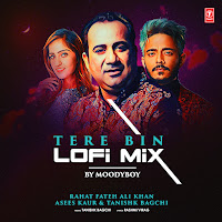 Tere Bin Lofi Mix(Remix By Moodyboy)