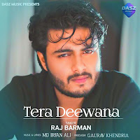 Tera Deewana