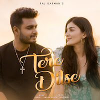 Tere Dilse