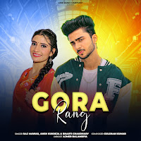 Raj Mawar, Ansh Kukreja, Bharti Chaudhary
