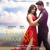 Rajat Nagpal, Yasser Desai, Neha Kakkar, Rana Sotal