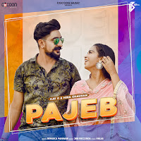 Pajeb