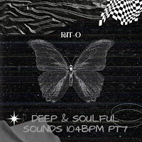 Deep & Soulful Sounds 104Bpm Pt7