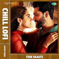 Tere Vaaste (Chill Lofi)