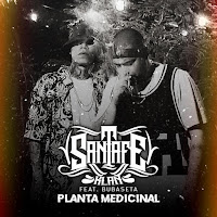 Planta Medicinal