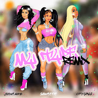 My Type [Remix] (Feat. Jhené Aiko & City Girls)