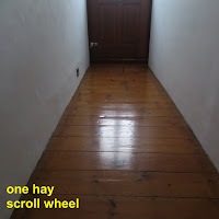 Scroll Wheel
