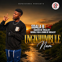 Ungikhumbule Nam (Feat. Snakho De Vocalist, Nichole Rsa & Shimi De Vocalist)