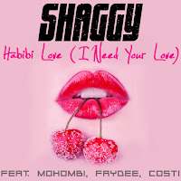 Habibi Love (I Need Your Love) (Feat. Mohombi, Faydee & Costi)
