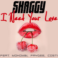 I Need Your Love (Feat. Mohombi, Faydee & Costi)