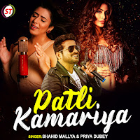 Shahid Mallya, Priya Dubey