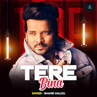 Tere Bina