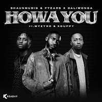 Shaunmusiq & Ftears, Daliwonga