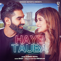 Haye Tauba