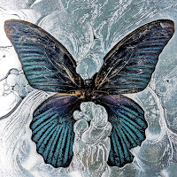 Angel - Shygirl X Fatima Al Qadiri