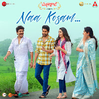 Naa Kosam
