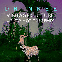 Sofi Tukker, Vintage Culture