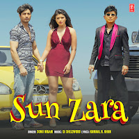 Sonu Nigam, Dj Sheizwood