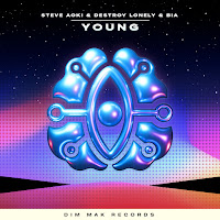 Steve Aoki, Destroy Lonely, Bia