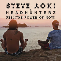 Steve Aoki, Headhunterz