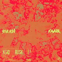 Steve Aoki, Kaaze