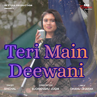 Teri Main Deewani (Feat. Sinchal)
