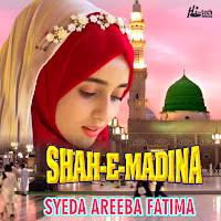 Syeda Areeba Fatima