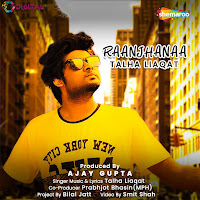Talha Liaqat