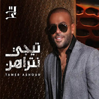 Tamer Ashour