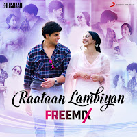 Raataan Lambiyan (Freemix)