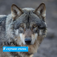 Я Скучаю Очень