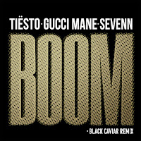 Tiësto, Sevenn