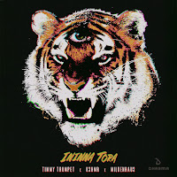 Timmy Trumpet, Kshmr, Mildenhaus